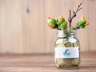 Žaliųjų finansų konsultacijos: GREEN ASSIST programa