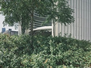 Europos priežiūros institucijos žinia fondų valdytojams: nuo šiol ESG ir tvarumo terminus reikės...