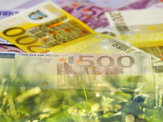Į tvarumą orientuotos investicijos, paskolos, draudimas ar pensijos - ką turite žinoti?