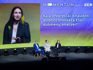 Tvarumo duomenų valdymas ir DI vaidmuo: kaip efektyviai jį išnaudoti?